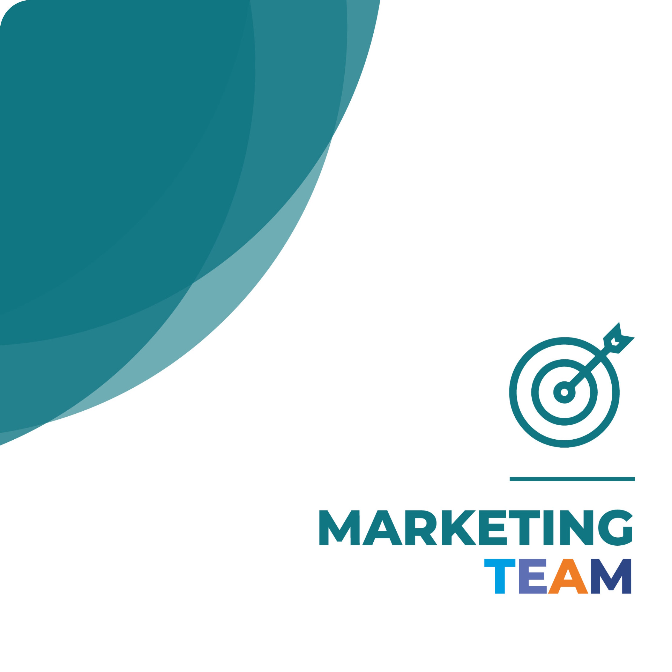 MARKETING TEAM